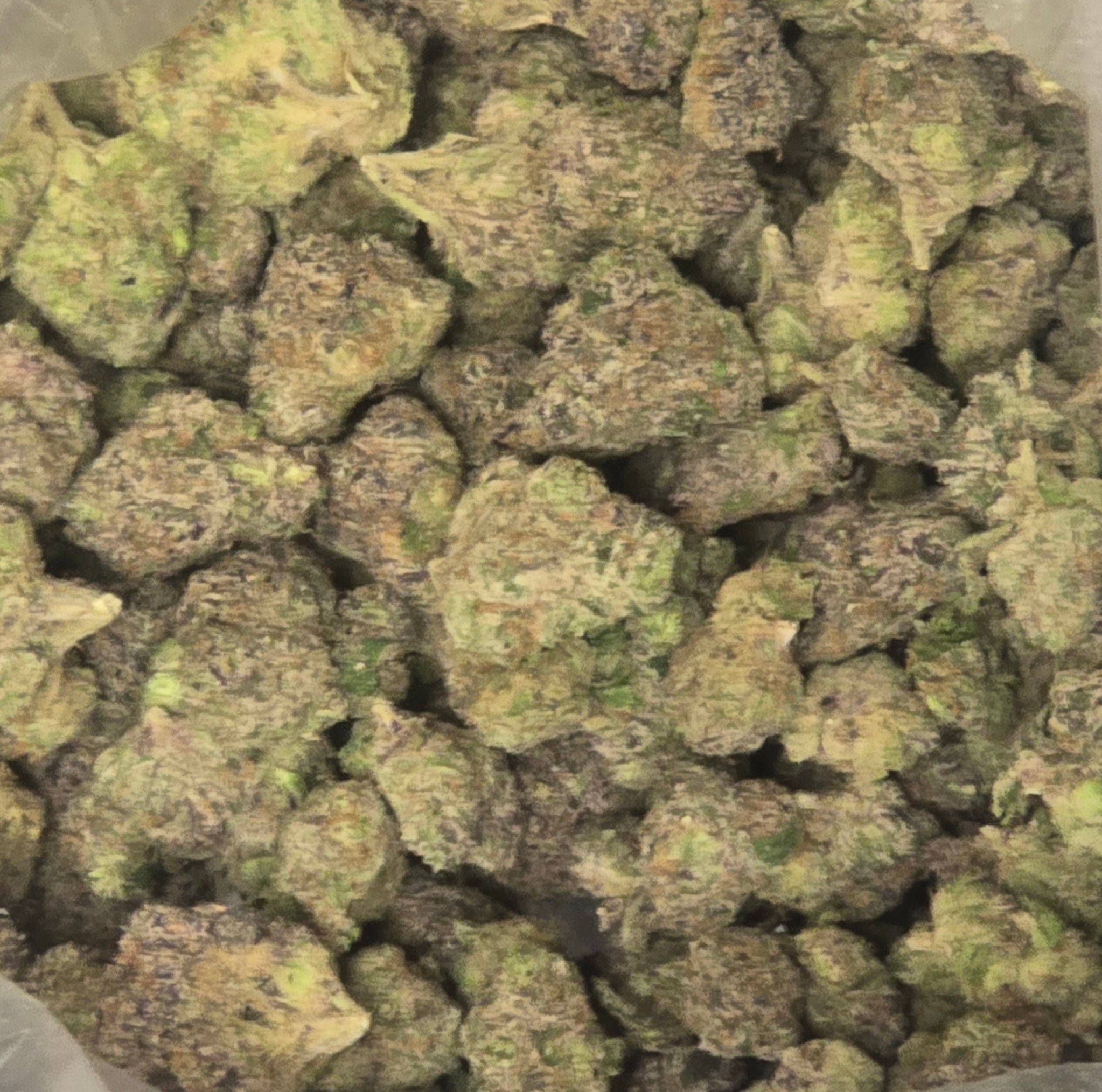 Gorilla Pie